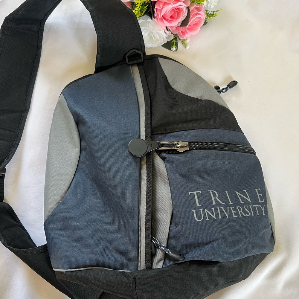 Pro bag should back pack one sided gray